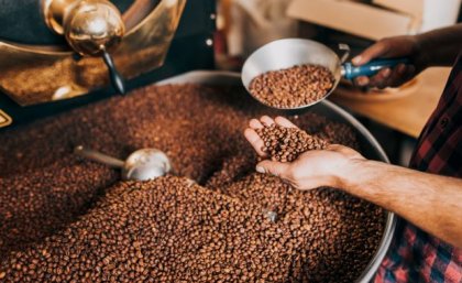 A hand scooping into a barrel of coffee beans 